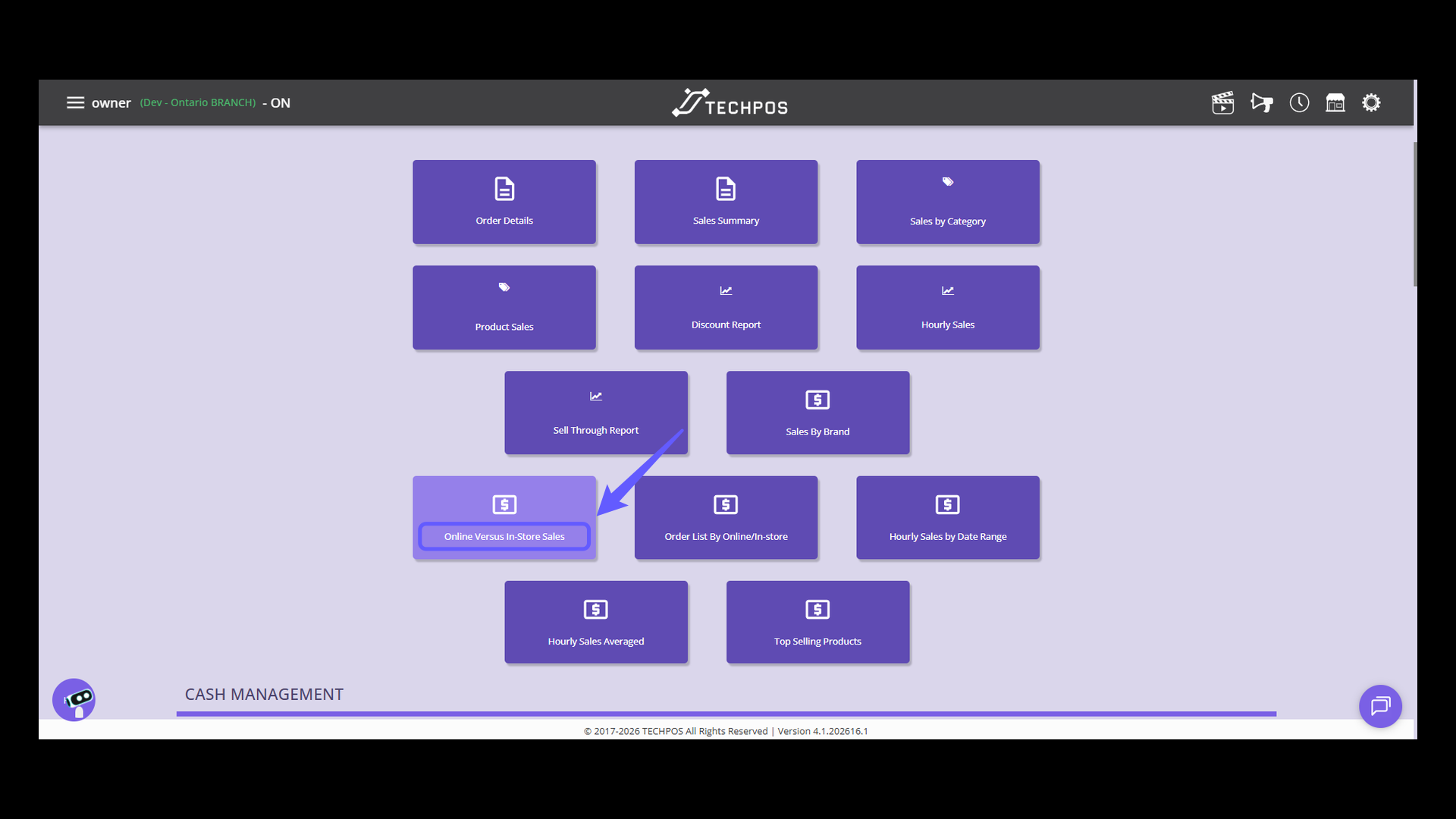 Access Online Versus In-Store Sales Report