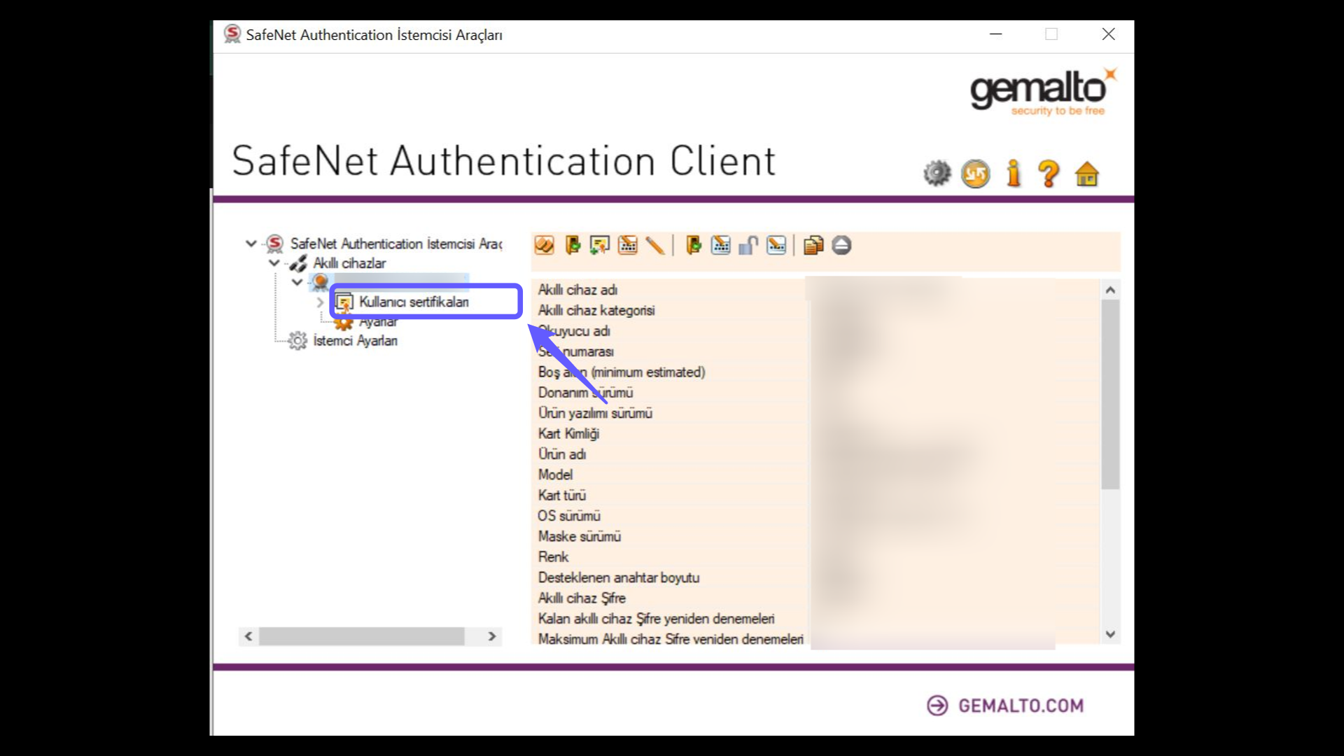 Accessing Certificate Information via the SafeNet Application
