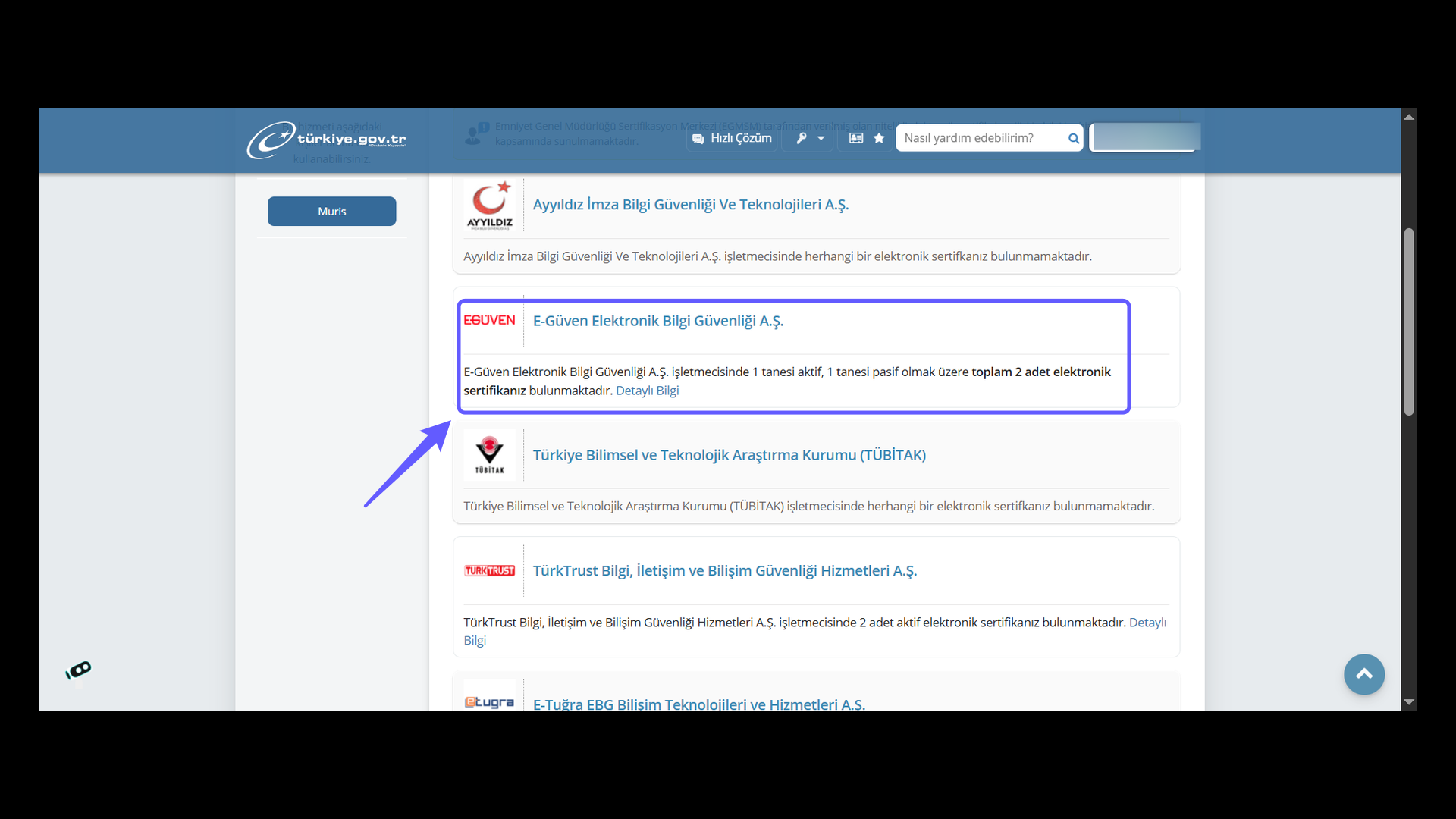 Electronic Certificate Inquiry via the e-Devlet Portal