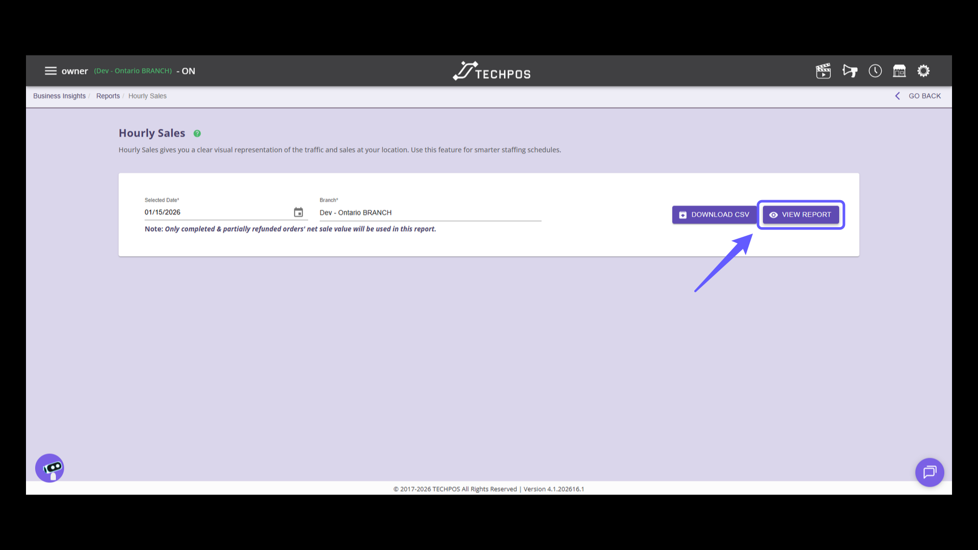 Access Hourly Sales Report